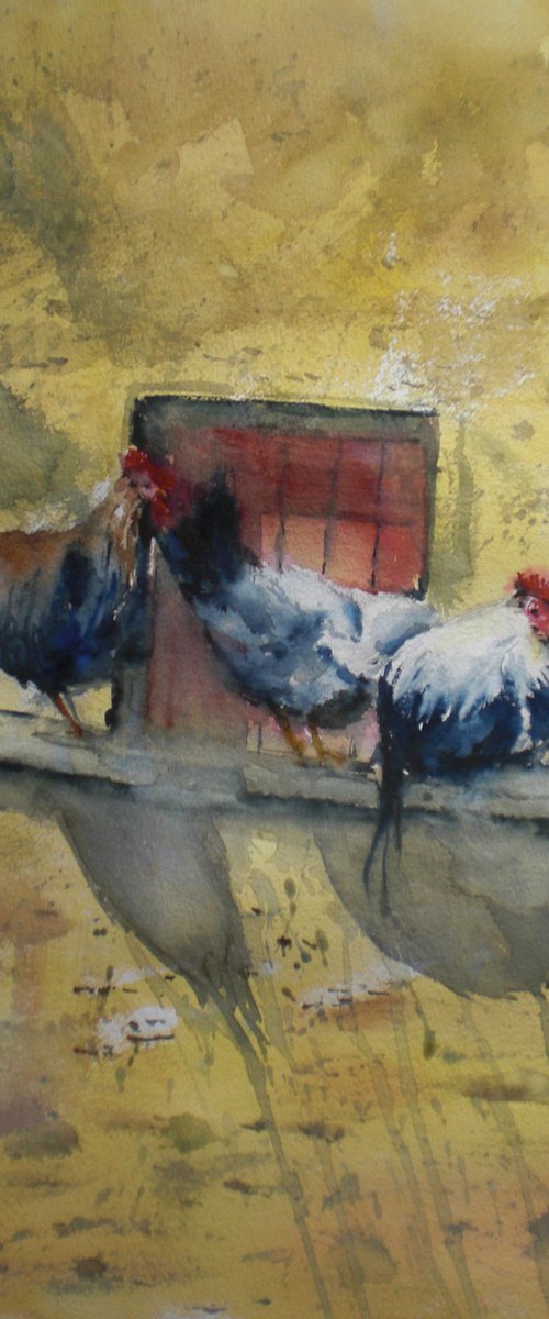 rooster and hens 2 by Giorgio Gosti