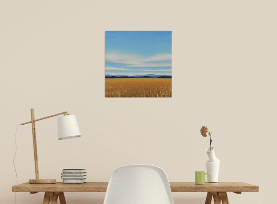 Golden Wheat - Blue Sky Landscape