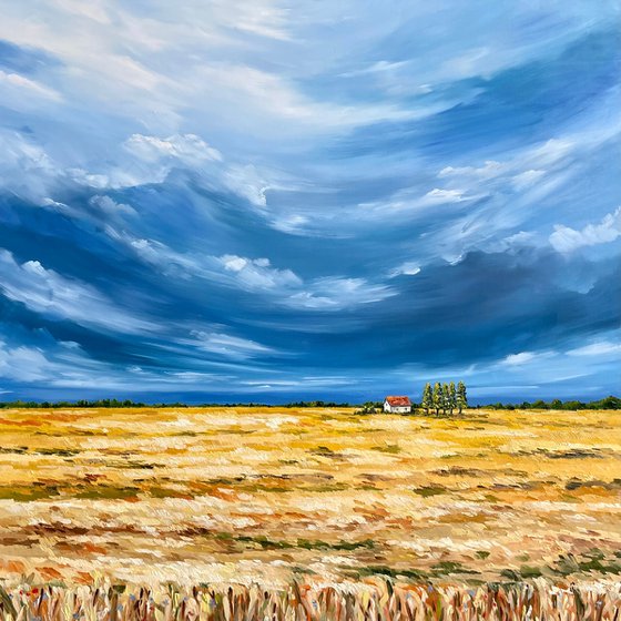 Wheat field, 66 x 66 cm