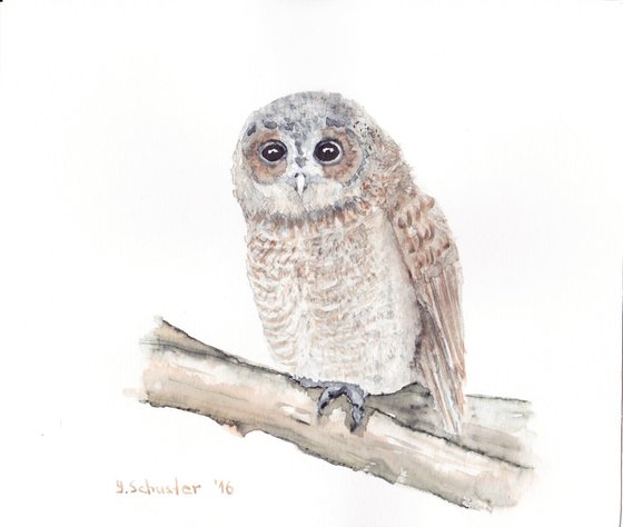 Watercolour birds portraits series. Owl