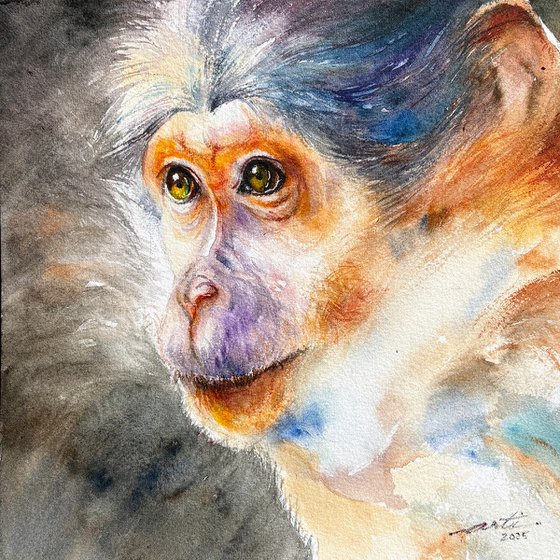 Watchful Monkey