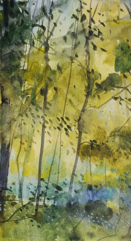 Sussurri nel bosco by Alessandro Andreuccetti