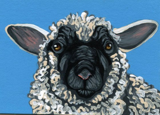 ACEO ATC Original Painting Black Face Sheep Farmyard Art-Carla Smale