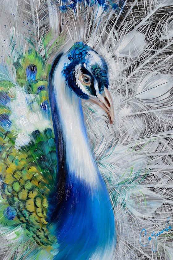 ROYAL PEACOCK