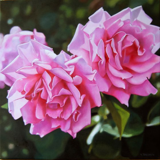 Pink Roses