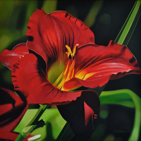 Lilium, Flower painting