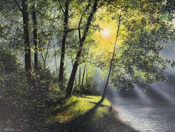 Sunlit Forest and River