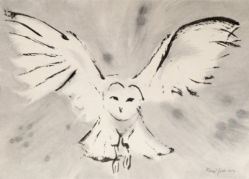 The white owl by Marcel Garbi