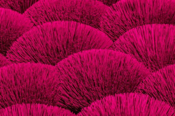 Incense Sticks No.3 (M)