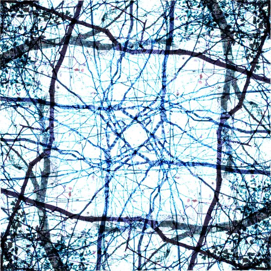 Kaleidoscope -Trees