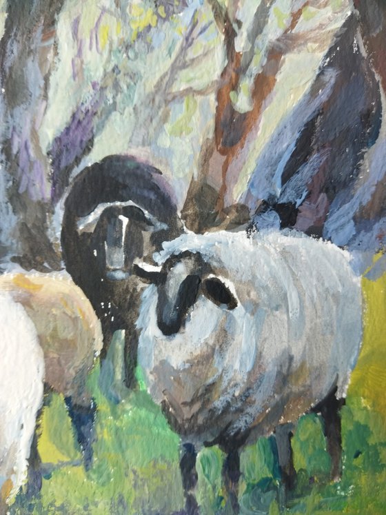 Landscape with sheep