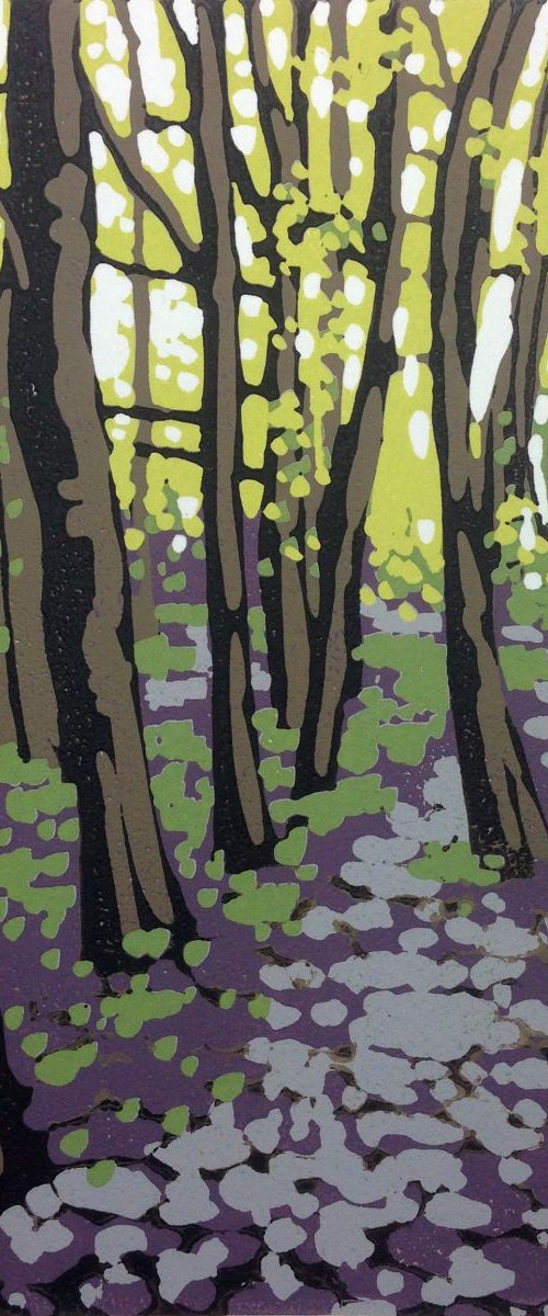 Bright New Beech Leaves by Alexandra Buckle