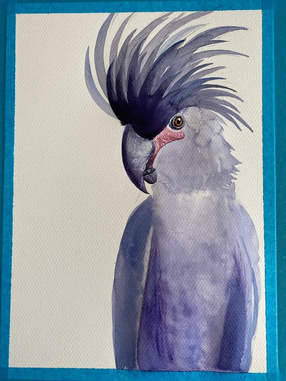 Black palm cockatoo, A Playful Glimpse of Nature in Watercolour