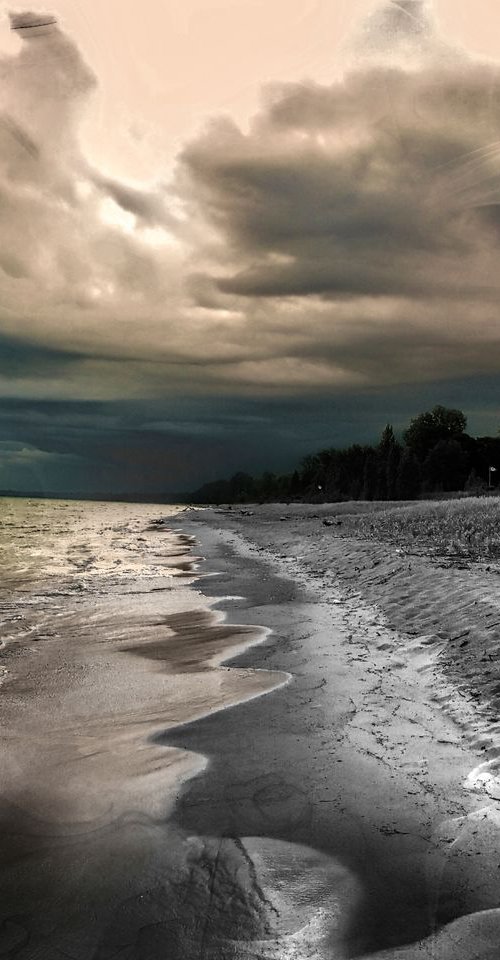 Haunted Shore by Barbara Storey