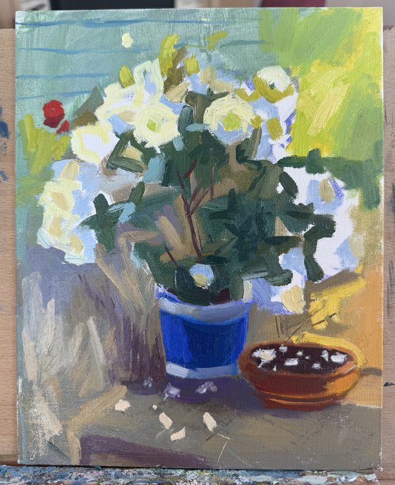 Roses
