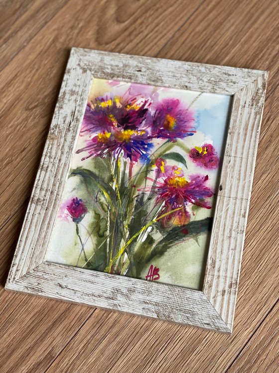 Chrysanthemum 1 - watercolor sketch in frame