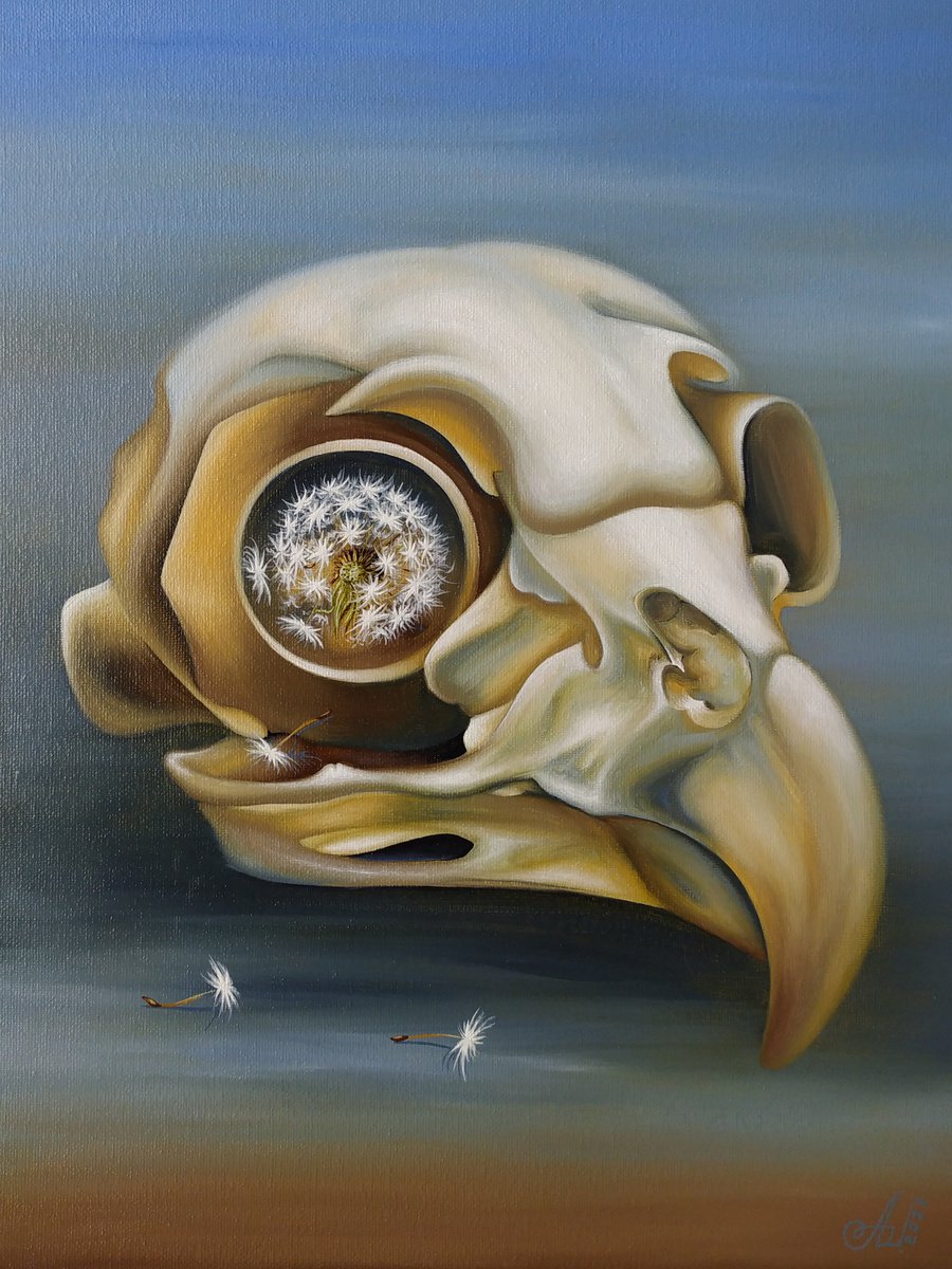 Owl (skull) by Anna Shabalova