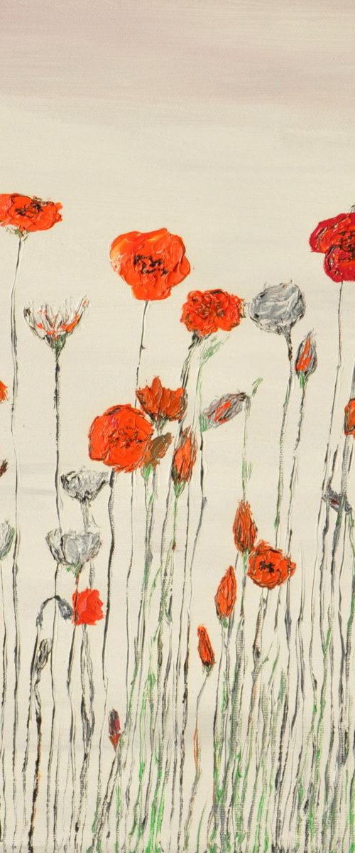 Wild Poppies by Daniel Urbaník