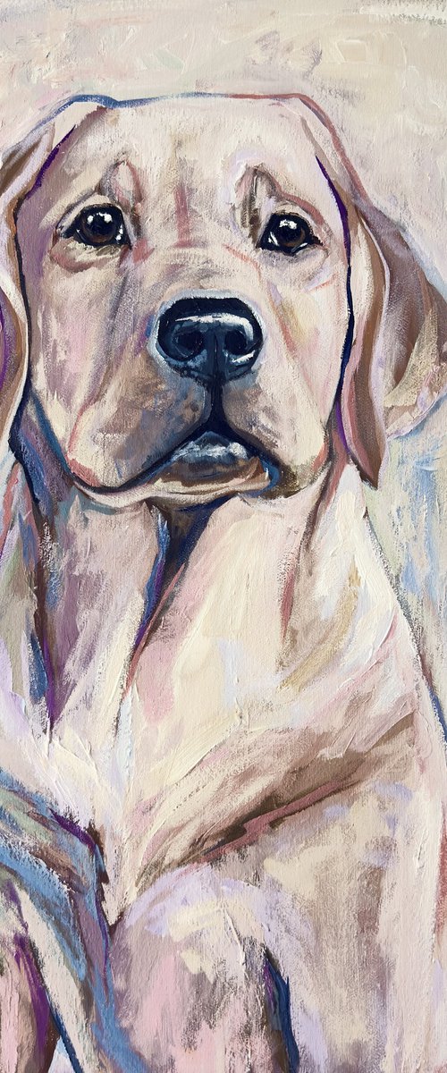 Golden Retriever by Elena Adele Dmitrenko