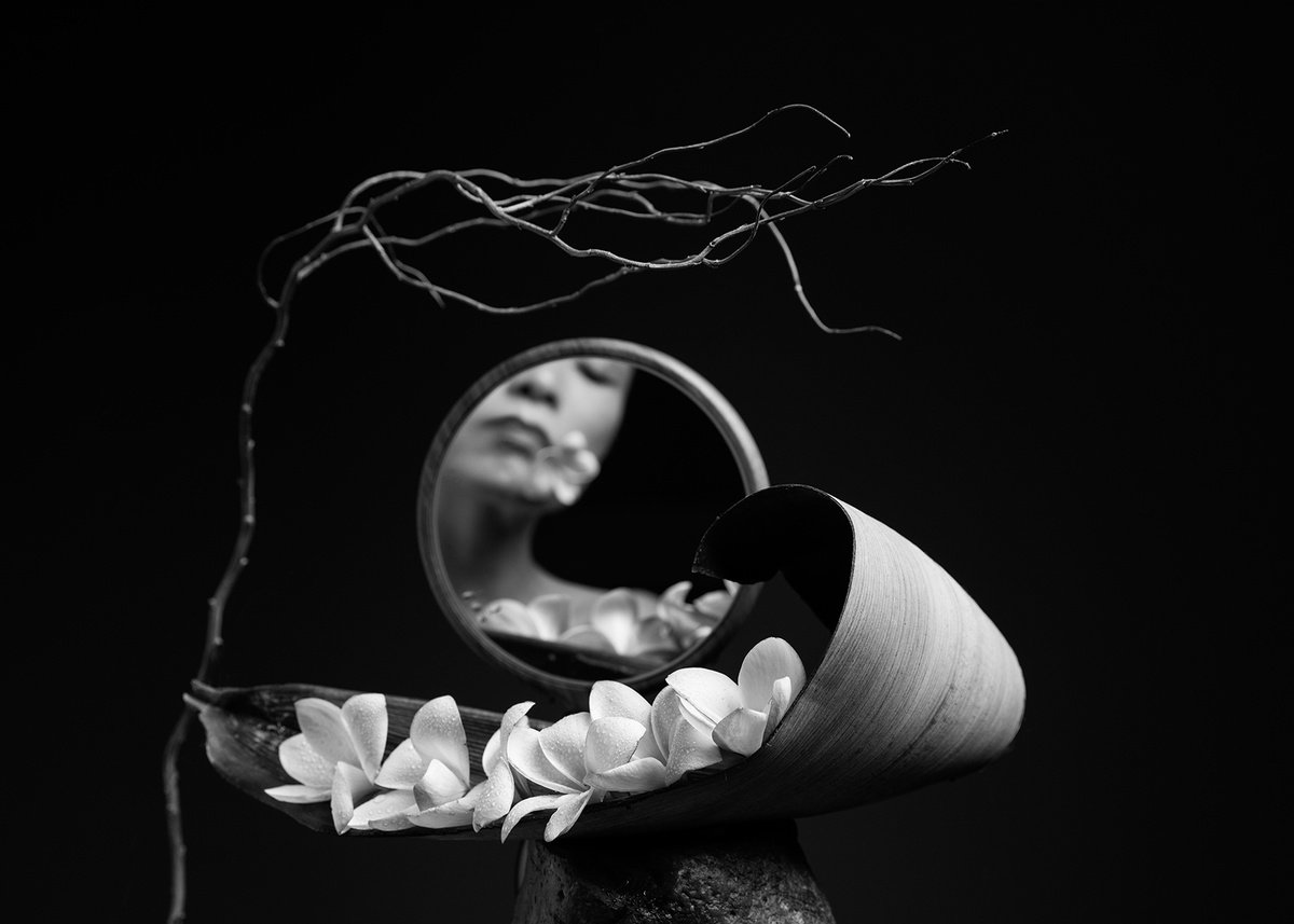 Expressive Botanical Photograph By Xidong Luo, 28 X 20", Whisper Of Impermanence, Original Artwork