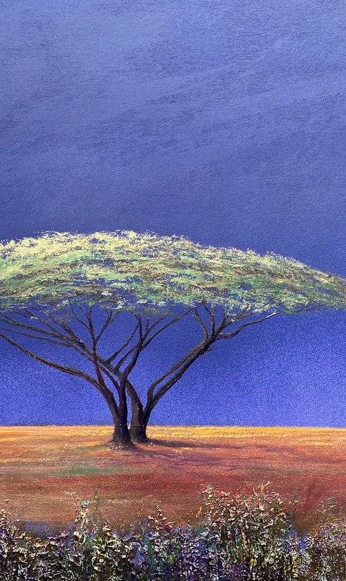 'Vibration of Silence Orange fields' by Simon Jones