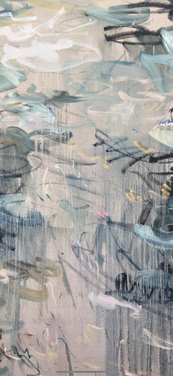 Water lilies. Reflections.