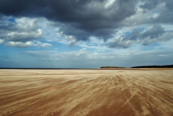 Serpents Of The Sand - 12x8in Unmounted