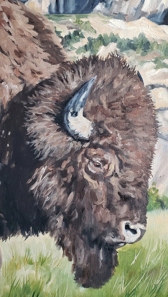 "The Patriarch" - Landscape - Bison - Wildlife