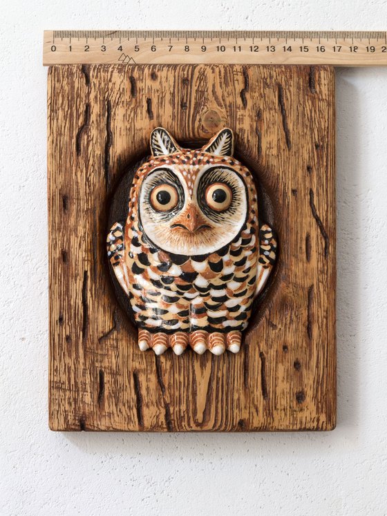 Owl