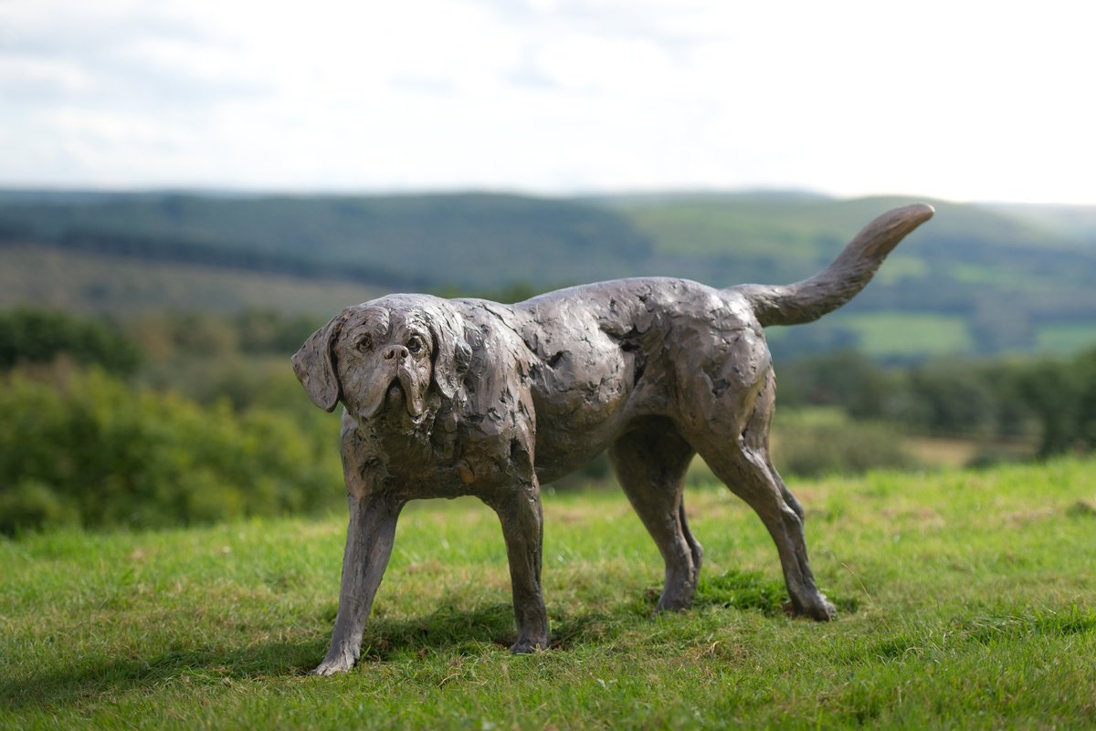 Sculpture , St Bernard Bronze Resin Sc By Tanya Russell, 62 X 37, Artwork For Sale On Artfinder