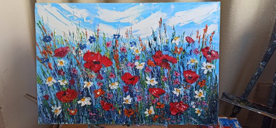 Poppies at the meadow