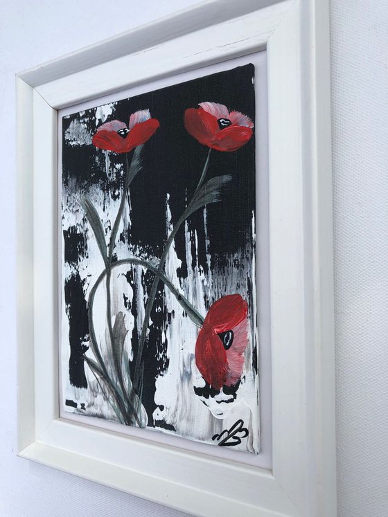 Red poppies in a frame