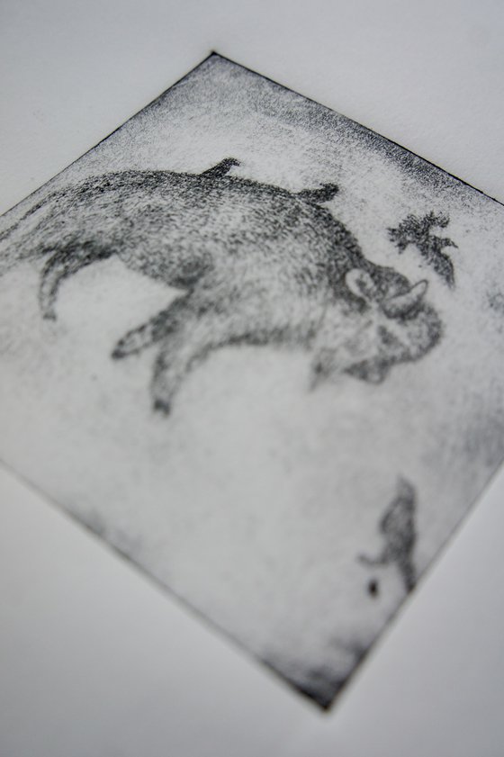Bison And Starlings