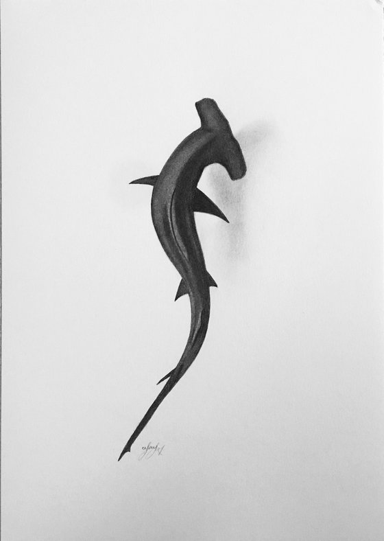 Hammerhead