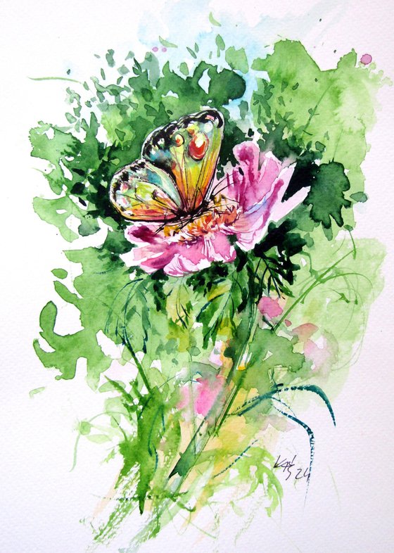 Butterfly collection