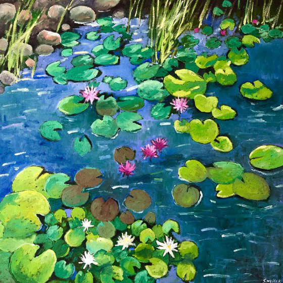 Waterlily 60-60cm