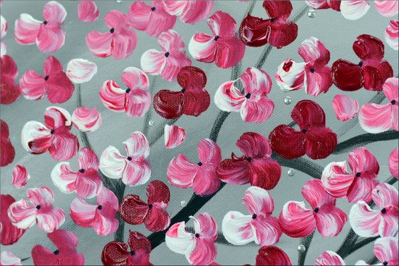 Blossom Explosion