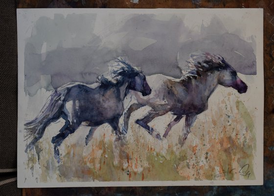 Wild horses chasing