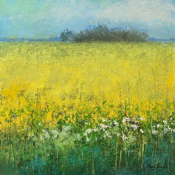 Spring Field