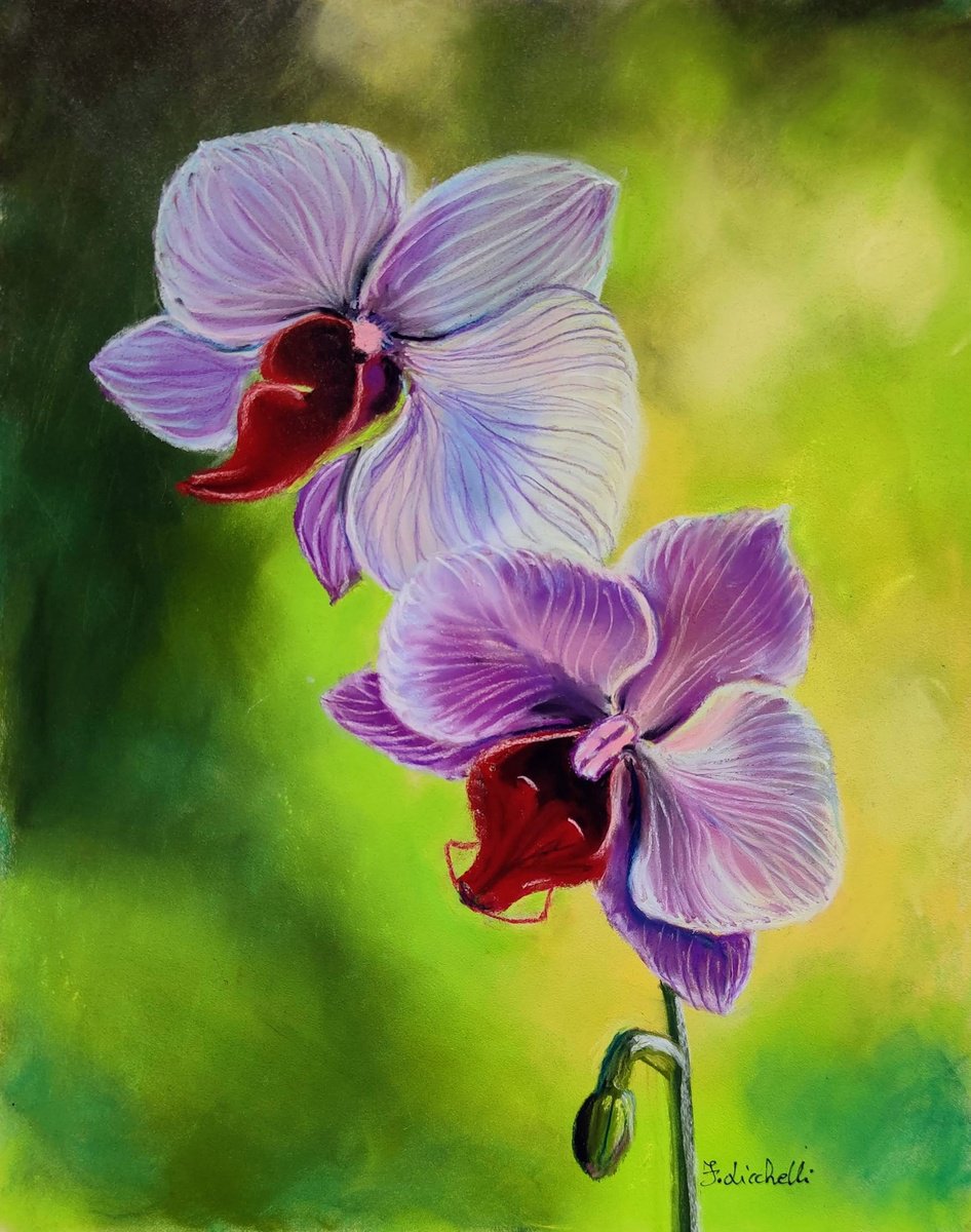 Orchid painting pastel original floral drawing soft pastel drawing purple orchid drawing p... by Francesca Licchelli