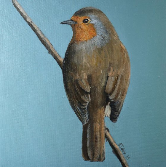 Robin Study Painting