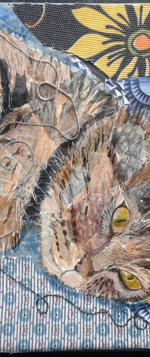 Yellow Eyed Cat by Fiona Plaisted