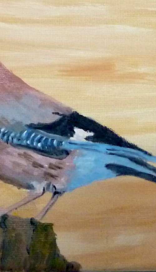 Jay by Maddalena Pacini