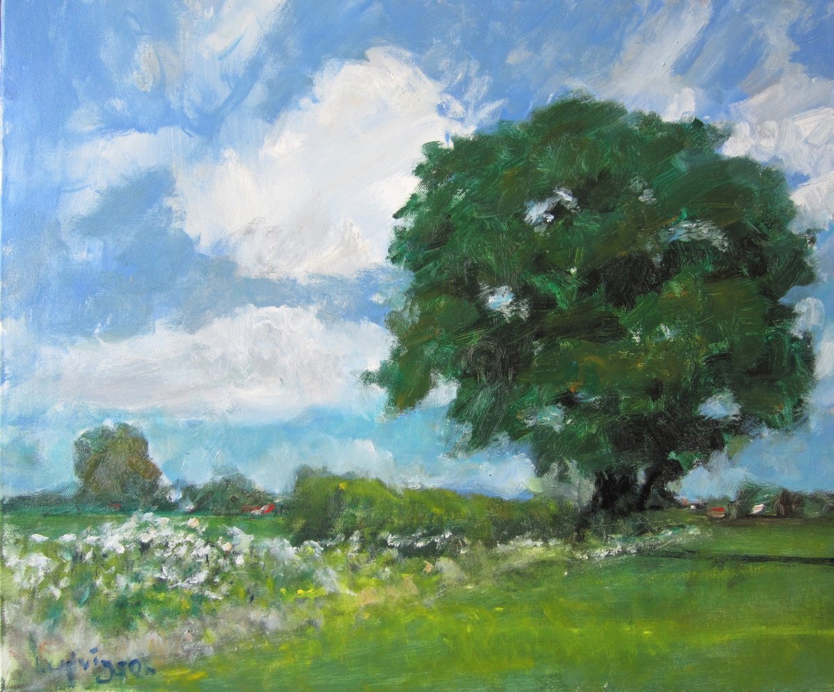 Impressionistic Landscape Oil Painting By Malcolm Ludvigsen, 24 X 20", Cow Parsley, May 30, Original Artwork
