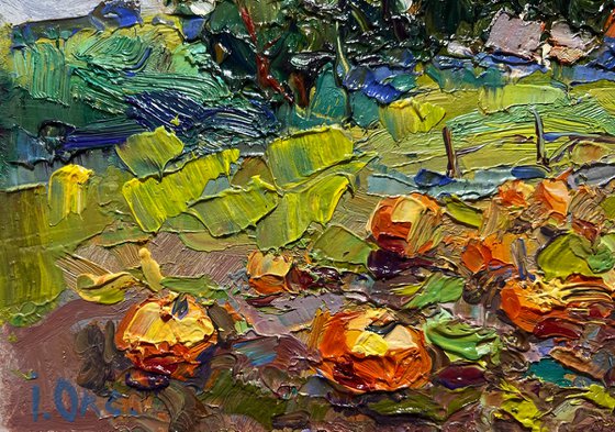 There are pumpkins growing