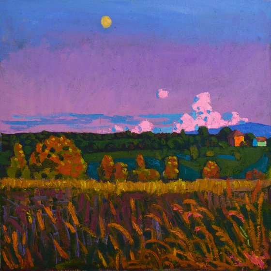 July. Evening landscape