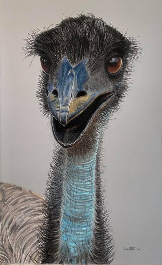 Happy Emu
