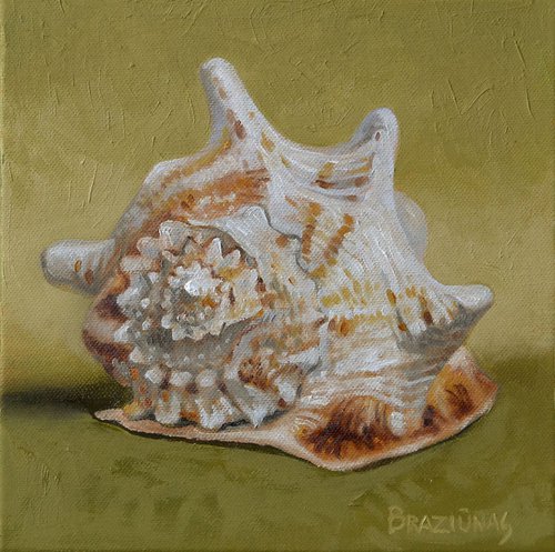 Shell, miniature by Arturas  Braziunas