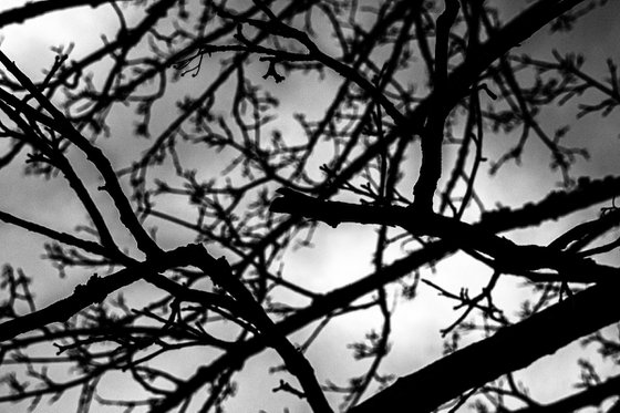 Negative Space No. 3