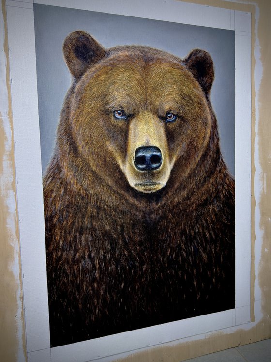 Grizzly Bear